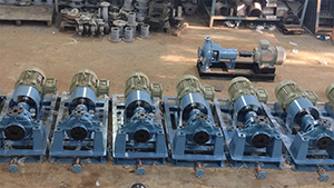 Process-Pumps